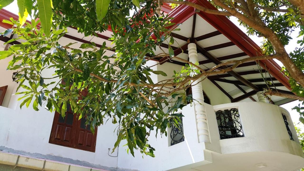 New Chili Lodge Mirissa Exterior foto